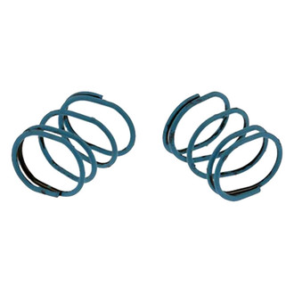 Carlson® - Rear Parking Brake Strut Spring Set