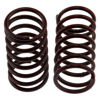 Carlson® - Drum Brake Adjusting Lever Return Springs