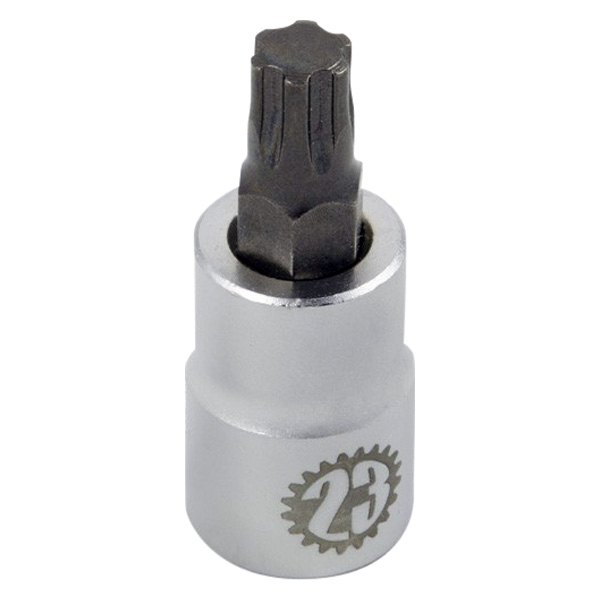 Company23® - Torx Plus 50 Flywheel Socket