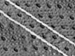 Unique Double-Stitching
