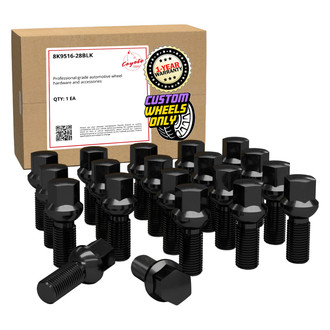 Coyote Accessories® - Black Radius/Ball Seat Bolt Lug Wheel Installation Kit w/o Valve Stems