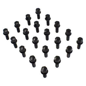Coyote Accessories® - Black Radius/Ball Seat Bolt Lug Wheel Installation Kit w/o Valve Stems