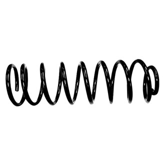 Crown® - Front Driver or Passenger Side Coil Spring