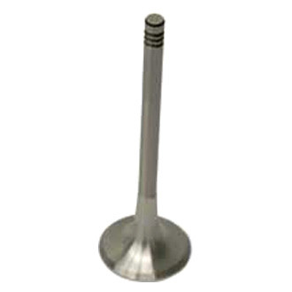 CRP® - Exhaust Valve