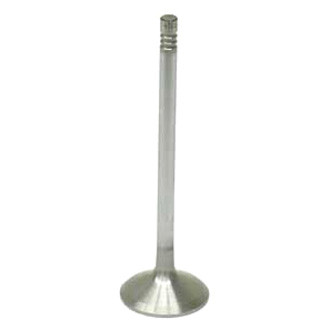 CRP® - Intake Valve