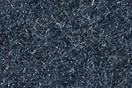 Dash Blue