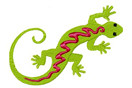 Lizard