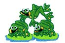 Toad