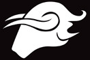 Bull