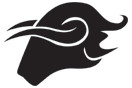 Black Bull