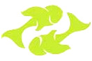 Lime Fish