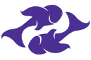 Purple Fish