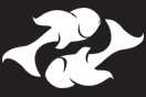 Black Fish