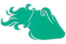 Green Squid