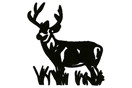 Elk