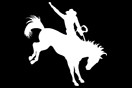 Rodeo White 2