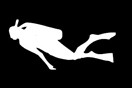 Diver 2