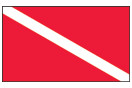 Flag 8