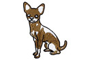 Dog 3