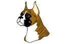 Dog 5