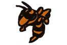 Wasp