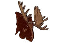 Elk 3