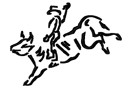 Rodeo White