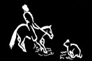 Cat and Horse 2