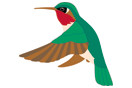 Bird 2