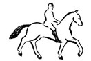Rider 8