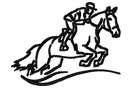 Rider 10