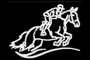 Rider 11