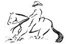 Rider 12