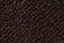 Cocoa