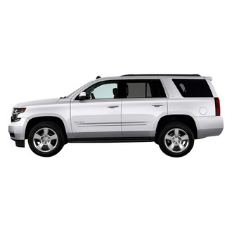 Dawn® - Chrome Lower Body Side Moldings