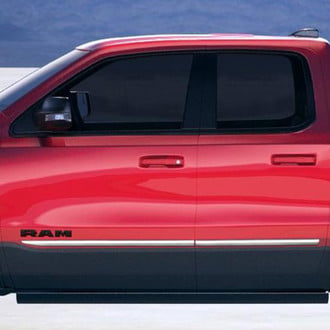 Dawn® - Chrome Body Side Moldings