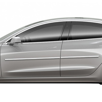 Dawn® - Chrome Body Side Moldings