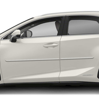 Dawn® - 1.25" Wide Body Side Moldings with Chrome Insert (Painted)