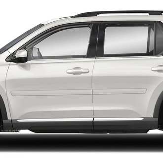 Dawn® - 2.5" Wide Body Side Moldings with Chrome Insert (Painted)