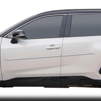 Dawn® - 1.45" Wide Body Side Moldings with Chrome Insert (Painted)