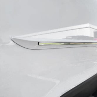 Dawn® - 1.45" Wide Body Side Moldings with Chrome Insert (Painted)