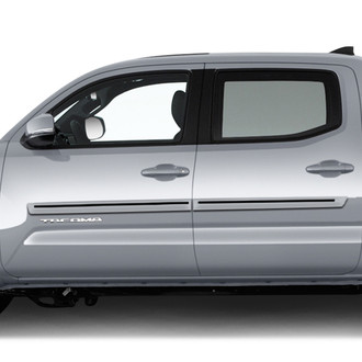 Dawn® - 2.5" Wide Body Side Moldings with Color Insert (Painted)