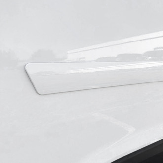 Dawn® - 2.5" Wide Body Side Moldings without Insert (Painted)