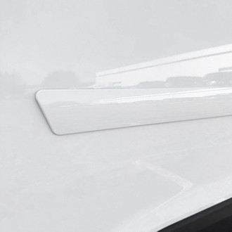 Dawn® - 2.5" Wide Body Side Moldings without Insert (Painted)