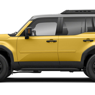 Dawn® - 2.5" Wide Body Side Moldings without Insert (Painted)