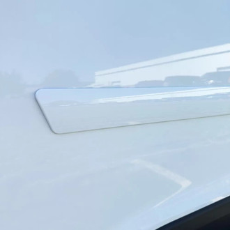 Dawn® - 2.5" Wide Body Side Moldings without Insert (Painted)