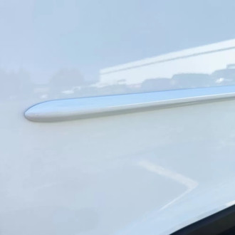 Dawn® - 0.75" High x 1" Wide Body Side Moldings (Painted)