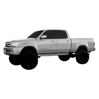 Dawn® - Chrome Body Side Moldings