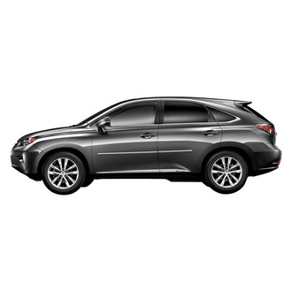 Dawn® - Chrome Body Side Moldings