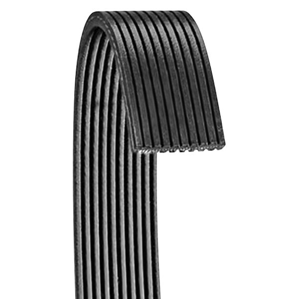 Dayco® 6100741 - Poly Rib™ Serpentine Belt - TRUCKiD.com